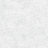 【特力屋】神采耐燃壁紙-水泥紋-灰白NN36022