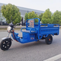 Electric tricycle cargo truck new household battery car adult cargo tricycle agricultural vehicle express car