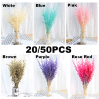 25/50PCS Real Wheat Ear Flower Decoration Natural Pampas Rabbit Tail Grass Dried Flowers for Wedding Party DIY Craft Bouquet