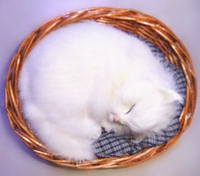 仿真動物模型 仿真貓 睡貓 睡筐貓 白貓 仿真工藝品 攝影道具