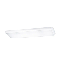 【大巨光】典雅風 附T8 LED 燈管4尺X3 日光燈_T8燈管_LED(LW-12-4811 小燈 耐熱飾條、烤漆鐵板、壓克力罩)