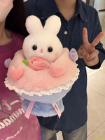 小V優購可愛公主兔子變身花束玩偶毛絨玩具公仔七夕禮物送女友女生布娃娃
