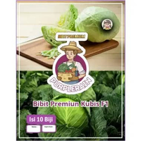 Bibit Premium Kubis F1 Berkualitas | Benih Kubis F1