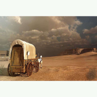 Hantar dari gudang tempatanThe country backdrop is made of western cowboy polyester 7x5ft. Ranch pho