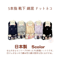 花日屋🌷日本製襪 日本穿搭 五指襪 貓咪 貓圖案 5色 日系 玻璃絲襪 時尚 百搭 短襪 長襪 襪子 J2224