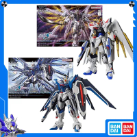 Self-assembly Gundam model from Bandai, HG model, 1/144 scale, Mighty Strike Gundam Seed Freedom mod