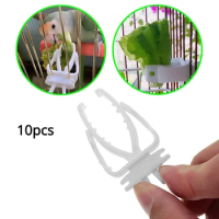 10pcs Cute Pet Bird Food Holder Parrot Fruits Vegetables Clip Cuttlefish Bone Feeder Device Clamp Bird Cage Accessories Oiseaux