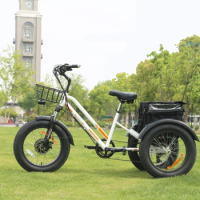electric bicycle 3 wheel rickshaw electric tricycle tuk 750W Bafang Electric Cargo Bike jorvic trike bicycle For USA Stock