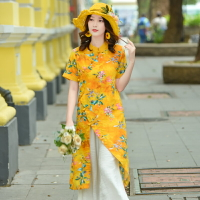 民族風連衣裙短袖女夏季新款中國風復古印花日常改良旗袍上衣
