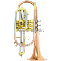 Afanti Music Bb Key / Brass Body / Euphonium /Bb Cornet (ACO-M300G)