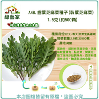 【綠藝家】A48.齒葉芝麻菜種子(裂葉芝麻菜)1.5克(約500顆)