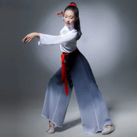 Yangge Clothing Adult Elegant Classical National Costumes Square Hanfu Dance Traditional Chinese Folk Dance Costume Woman Hanfu