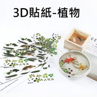 【3D貼紙-植物】3D樹脂畫 樹脂畫 植物貼紙 浮萍貼紙 小魚貼紙 貼紙 小魚 魚滴膠 水晶膠 水晶滴膠 環氧樹脂