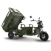 EU HOT Selling EEC Electric Tricycles 3 Wheel Electric Cargo Bike For Adult Electric Tricycles