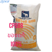 TGWH CP888 เมล็ดพันธุ์ข้าวเหนียวหอม CP888 ซีพีไรซ์888 20กิโลกรัม  เมล็ดพันธุ์พืชผลทางการเกษตร