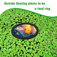 Lightweight Floating Ring for Aquatic Plants Aquarium Floating Plant Rings Set for Fish Tank Pond 10 for Goldfish for Aquarium