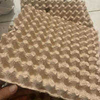Paket Egg Tray 10 Lembar Tempat Telur Puyuh Isi 90 Butir Kualitas Terbaik untuk Pengemasan Telur