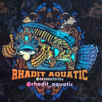 stiker chana Stewarti karbialong uk 9-10