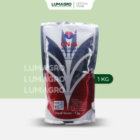 Pupuk CNG 1kg Kalsium Pak Tani Memperkuat Tanaman Peningkat Kualitas Buah Green House Grade