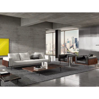 JNLEZI Italian imported leather sofa/Brasilia minimalist light luxury fabric single living room sofa