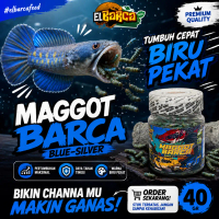MAGGOT SUPER BLUE BOOSTER menaikan warna biru putih percepat tumbuh Ikan channa arwana ikan albino s
