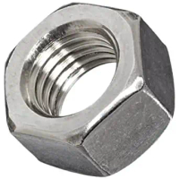 DIN934 Hex Nut 304 Stainless Steel M2, M2.5, M3, M4, M5, M6, M8, M10 304 Stainless Steel Hexagon Nut
