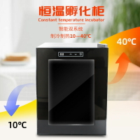 免運/可開票 五金工具 小型烏龜蛋自動孵化機爬蟲動物孵化器蜥蜴孵蛋器小冰箱恒溫發酵箱
