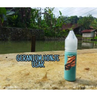 ESSEN OPLOSAN MANCING IKAN MAS BABON INDUKAN DAN IKAN MAS RAME GERANIUM HONJE USAR