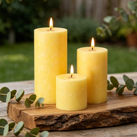 Citronella Candles Outdoor3 Pack Lemongrass Scented Pillar Candles Set |   Summer Outdoor CandlesLon