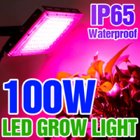 Led Grow Light Plant Hydroponic Lamp LED Full Spectrum 220V LED Phytolamps Light Greenhouse Seeds Flower Grow Lighting 50W 100W