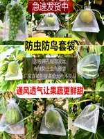 水果套袋網紗袋防蟲保護袋防鳥葡萄果樹桃子透氣草莓種植套袋專用
