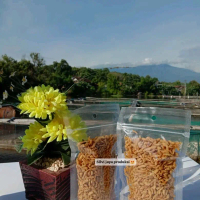 ikan lempuk crispy Silvi jaya kemasan 100gram