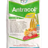 Antrakol 70WP Fungsida Hama Tanaman 250g dengan Zinc untuk Perlindungan Tanaman
