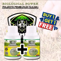 HERBISIDA PANDA PEMBASMI SEGALA JENIS GULMA DAN HAMA PADA TANAMANKEBUN
