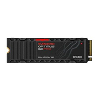 SANDISK Optimus GX PRO 850X NVMe SSD 1tb / 2tb / 4tb / 8tb 1TB WITH HEATSINK