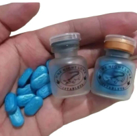 ONENIGHT LOVER CROCODILE ISI 10 PCS