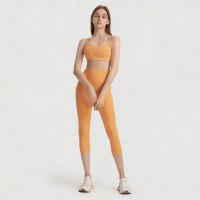 Athleisure Womens Summer Sports Set - High Stretch Quick-Dry Yoga Fitness 7-Point Set Pro Training P