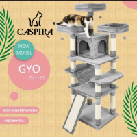cat condo abu abu