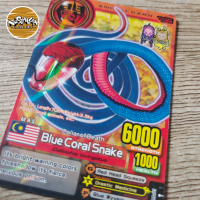 Kartu Animal Kaiser Animal Card Evo 3 Original \Blue Coral Snake\""