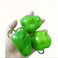 Cabe Gendot Segar Fresh Cabe Teh Rina