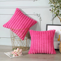【IN stock pillowcase】 2 Pack Neutral Decorative Throw Pillow Covers 18x18 Inch for Living Room Couch