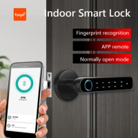 Tuya APP Bluetooth-compatible Smart Door Lock Fingerprint Password Lock Electric Biometrics Code Number Door Lock With Key