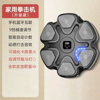 智慧音樂拳擊機拳擊訓練器拳擊靶音樂牆靶兒童拳擊訓練