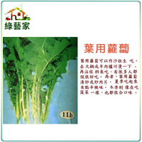 【綠藝家】A28.葉用蘿蔔種子100顆(日本時田種苗公司進口)