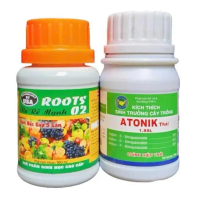 COMBO kích rễ và kích chồi mai vàng: phân bón ROOTS 2 100ml và ATONIK THÁI 1.8sl 100ml dùng kích rễ 