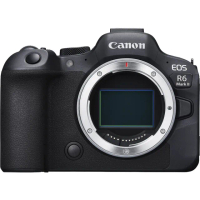 【Canon】EOS R6 Mark II R6M2 R62 BODY 單機身(公司貨 全片幅無反微單眼相機)