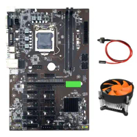 BTC B250 Miner Motherboard with CPU Cooling Fan+Switch Cable 12XGraphics Card Slot LGA 1151 DDR4 SATA3.0 for BTC Mining