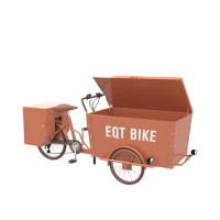 Mini 3 Wheel Cargo Delivery Bike Family Cargo Bike Price EQT New Cheap Electric Cargo Bike 250W