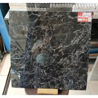 GRANITE LANTAI 60X60 RENATO BLACK | GLOSSY