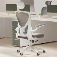 LISM SICHY AGE Ergonomic Office Chair Home Desk Office Chair for Lumbar Support, high Back Computer Chair